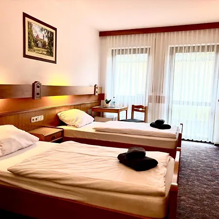 Hotel Schneider Pautzfeld Hallerndorf