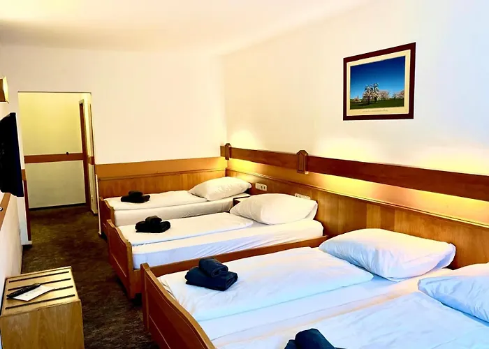 Hotel Schneider Pautzfeld 3*