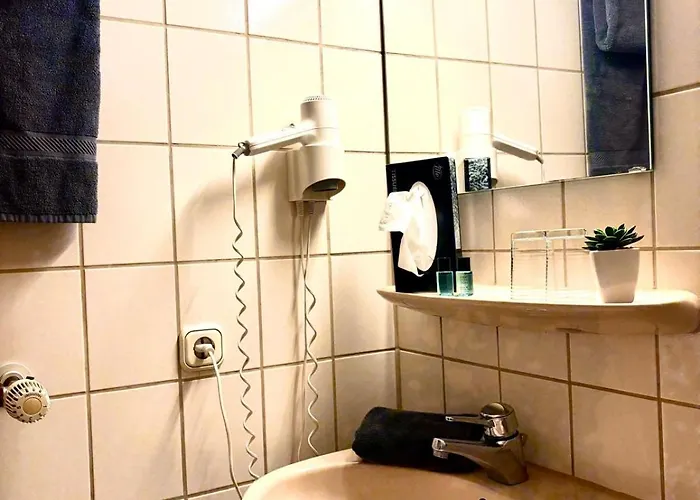 Schneider Pautzfeld 3* Hallerndorf