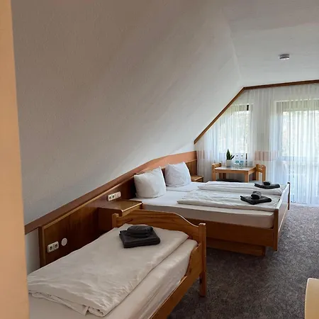 Schneider Pautzfeld Hotel 3*