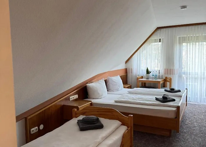 Schneider Pautzfeld Hotel 3*