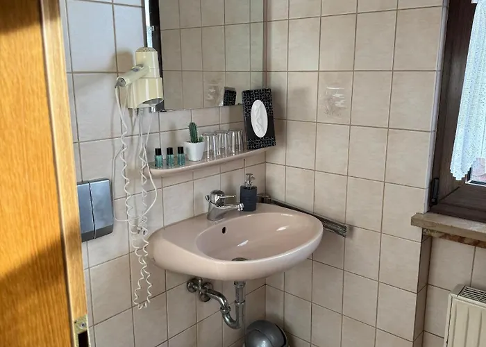 Hotel Schneider Pautzfeld 3*